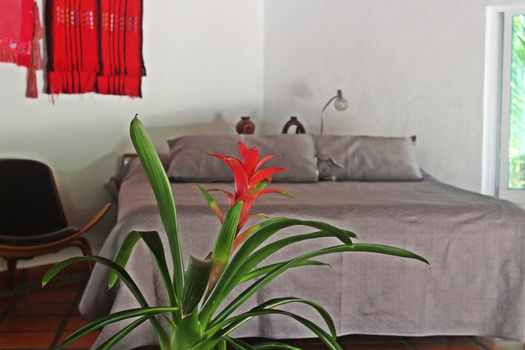 Hotel Que Onda Akumal Ngoại thất bức ảnh